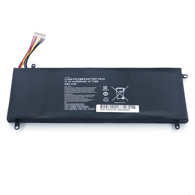 ����GIGABYTE����U2442 U24F P34G V2 GNC-C30�����ñʼǱ����